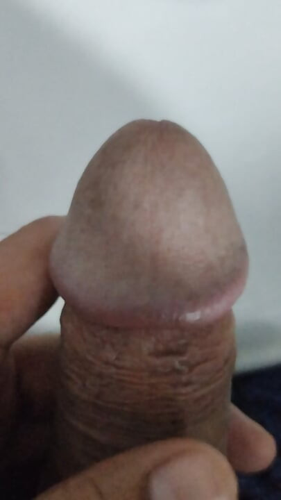 Rano jutro
