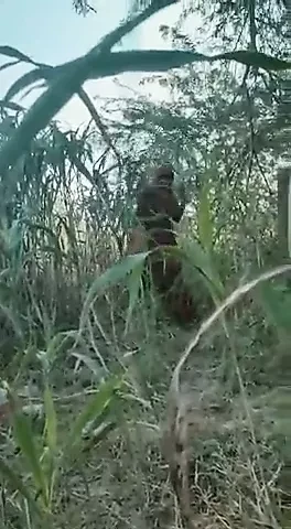 Indian pure Desi girls fucking Outdoors