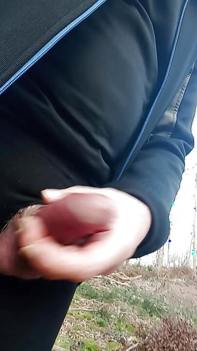 Fat Willi walks in the forest.