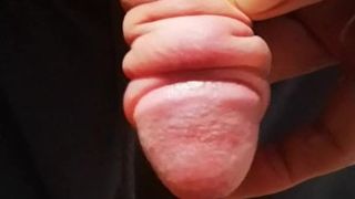 Extreme Penis Pump