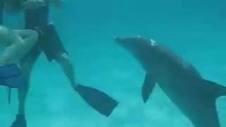 Sswimmig con un juguetón dlophin