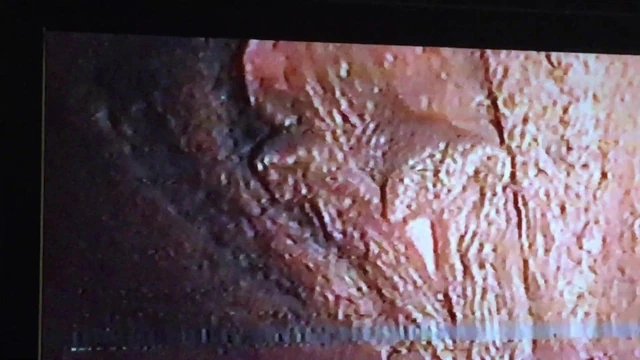 Put your cock down my throat