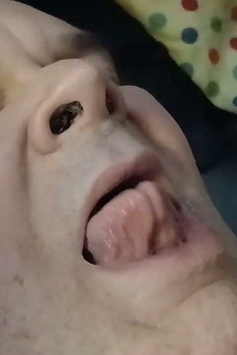Sunday Night Cum with a Vibrator in Ass