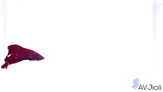 Ranako Is a Sexy and Horny Princess