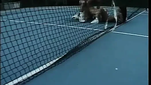 Azgın adam tenis kortunda iki seksi kızla sert sikişiyor
