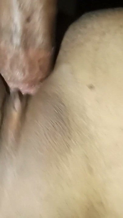 Punjab bhabhi anal sex desi wife blowjob saraiki wife gand marwaty hoy | Clip 1