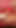 Spannender moment aus "Zwei vollbusige blonde schätzchen teilen sich einen großen schwanz in einem FFM-dreier"