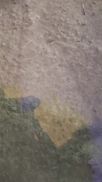 shadow masturbation