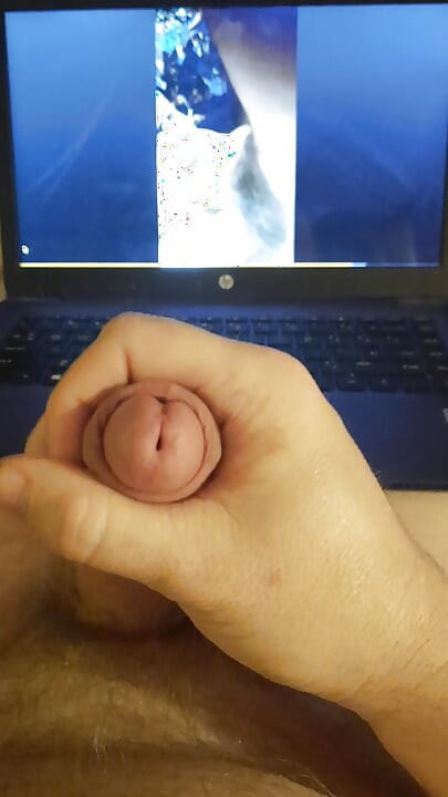 Me jerking off to porn