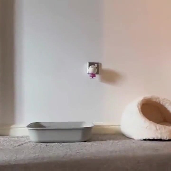 Caught Red Handed