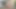 Candee Licious naylon çoraplı tek başına bts