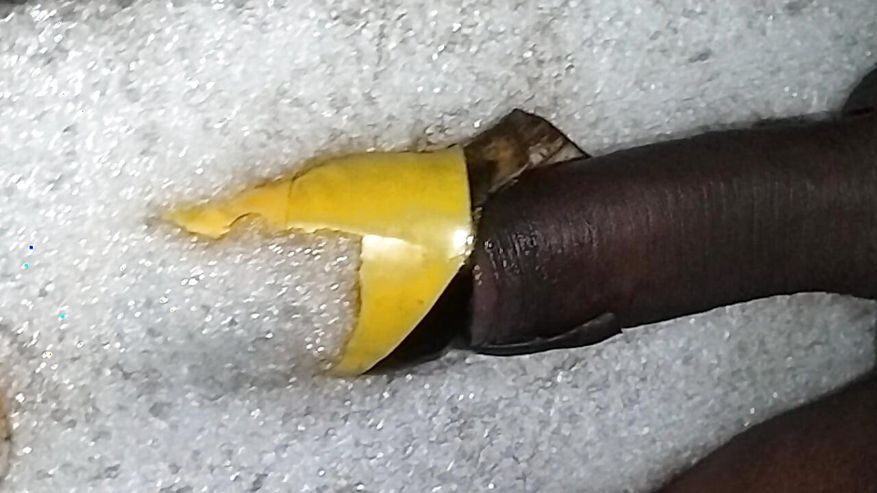 Beauty Cock
