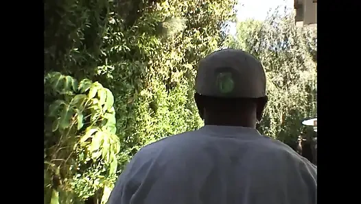 Лиса ест всё (Часть 2)