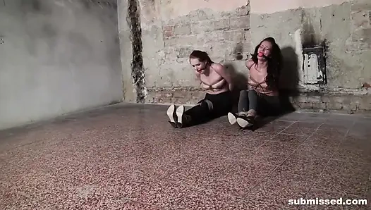 Двух крош, связанных между сиськами с кляпом-шариком во рту, схватили за сиськи