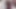 الملاك الآسيوي 26105