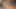 Büyük siyah dildo ile amımı sikiyorum! Sıkı amcığını esnetiyor