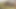 Amazonギフト証明書