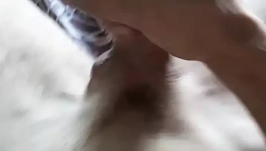 Dla (önceki değeri)
