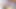 Futa SFM Compilation