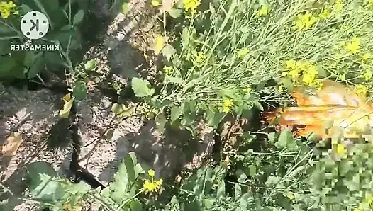 Hintli köylü kadın açık havada devar tarafından sikiliyor