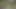 Unknown Latin girl gets fucked in the woods while she is lost