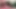 Orta yaşlı seksi rüya anne Alexis üniversiteli delikanlının yarağını emiyor