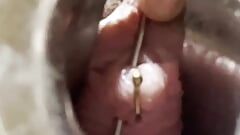 Piercing uretrale