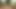 Sexy Petite Muslim Girl Outskirt of Village Got Dominated by Bigdick
