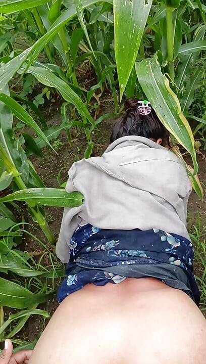 Gaon ka shuddh real desi Makka ki khet ka sexy video bhabhi apni Badi gand Apne devar se marva rahi hai Makka ke khet mein bhabhi ki gand ma