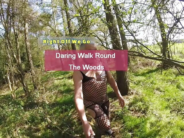 Fishnet In The Woods