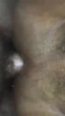 Bb close up