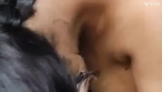 Telugu-ehemann und ehefrau ficken in hardcore