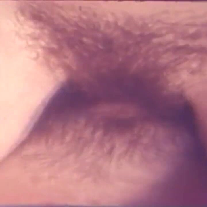 Coño peludo vintage disfrutó de una gran polla