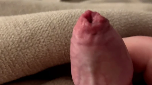 Small foreskin penis comes hard.