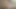 GERMAN Dirty Talk with Big Cock, Precum and Cumshot