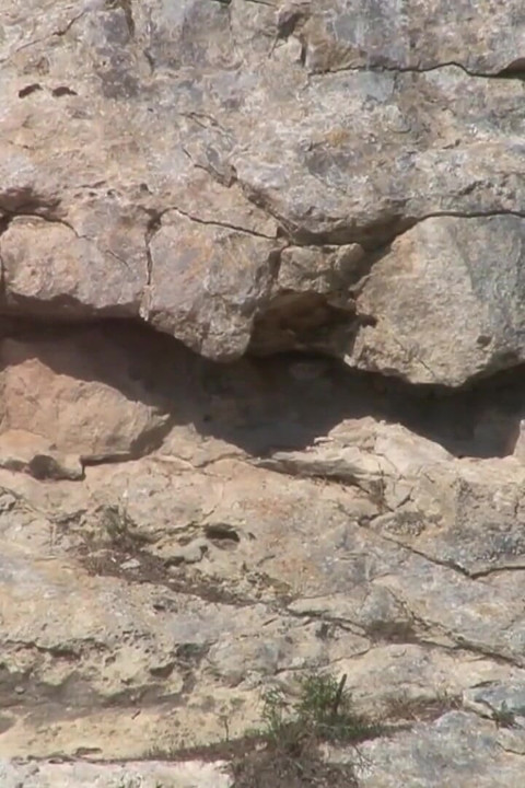 Morena puta en acción al aire libre en la playa