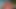 Riley reid masturbates için oyuncak orgazm içinde ağ bikini