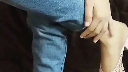 Baby kangaroos had video