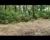 Pratinjau video