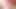 2 Smooth Cocks Having Fun - Blowjob Cumshot