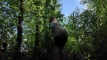 Предпросмотр видео