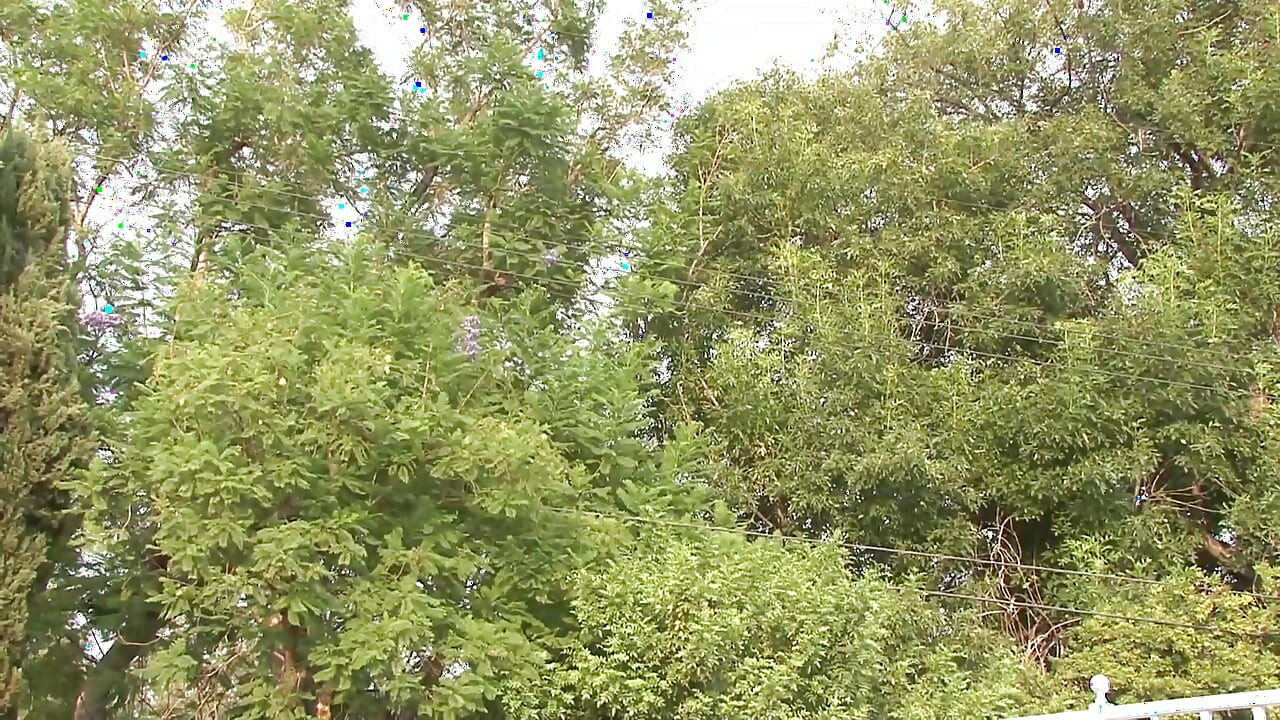 年輕白人妻子屁股裡藏著一個巨大的黑色秘密