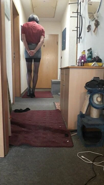 Shirt skirt