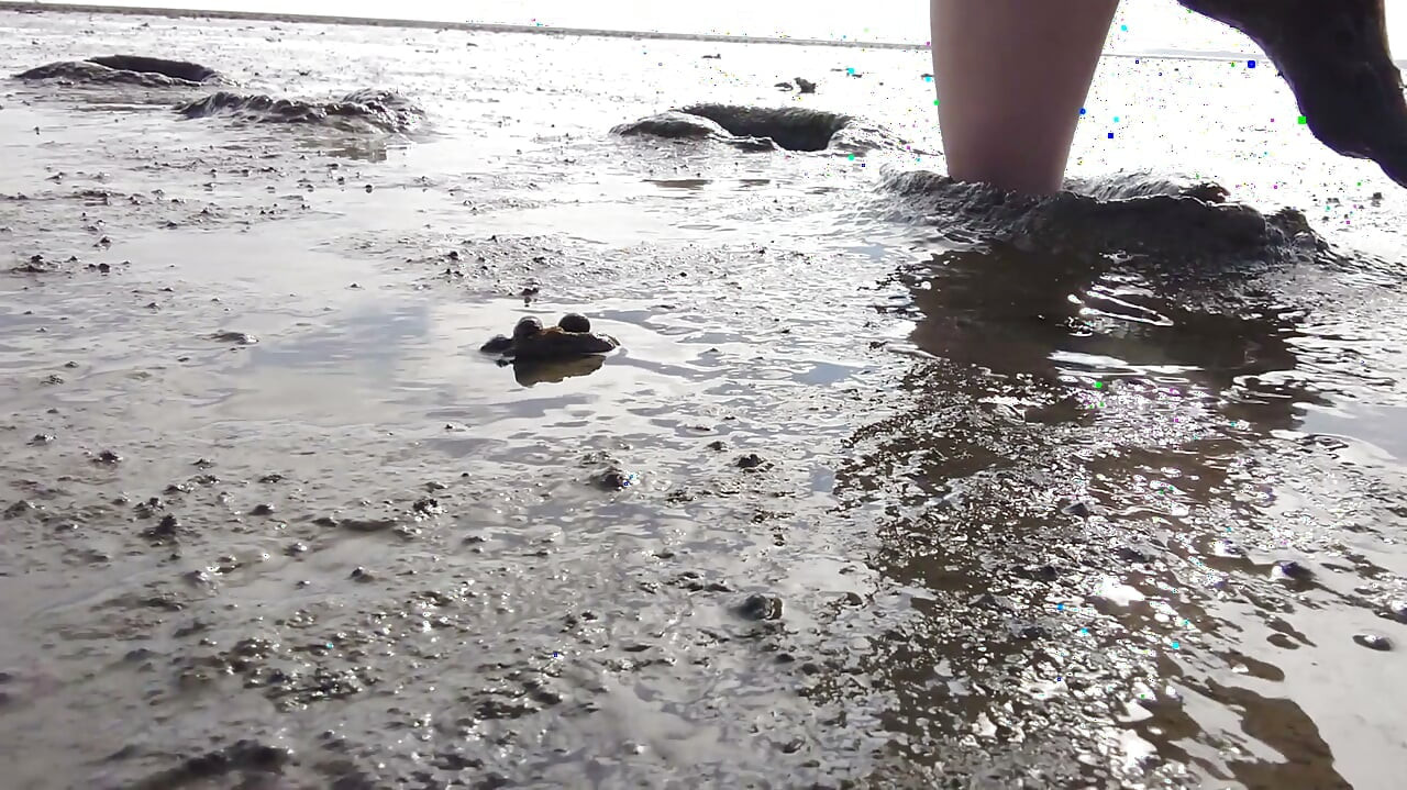 În ciorapi rafinați în Marea Wadden a Wangerland