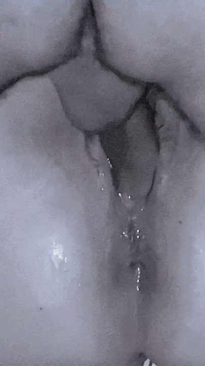 I want my pussy filled with cum every single day, so use my body however you like, I am your object of pleasure! | Clip 3