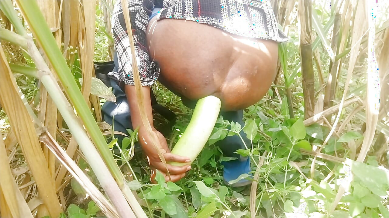 Went to the sugarcane field and fucked my ass with a very thick gourd.