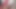 美味しい夕食の後、義理の妹に美味しいセックスをしてあげる