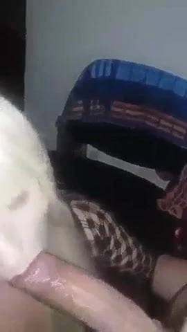Blowjob