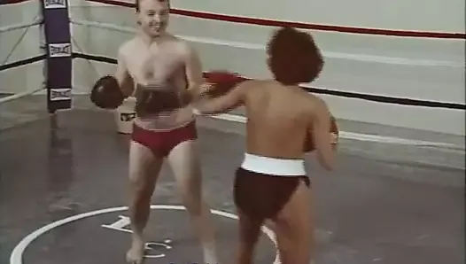 catfight nude male vs female mixed naked boxing