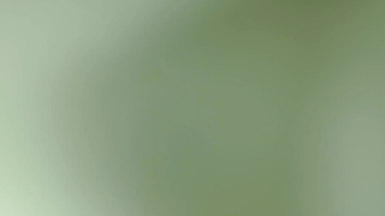 ホットレッドヘッド2025